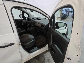Renault Kangoo VAN picture 17