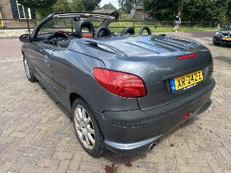 Peugeot 206 2.0-16V picture 10