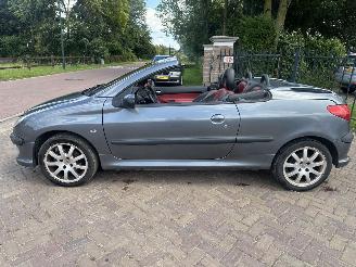 Peugeot 206 2.0-16V picture 4