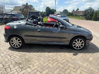 Peugeot 206 2.0-16V picture 7
