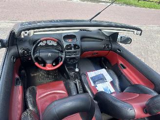Peugeot 206 2.0-16V picture 11