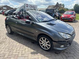 Peugeot 206 2.0-16V picture 6