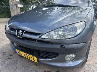 Peugeot 206 2.0-16V picture 2