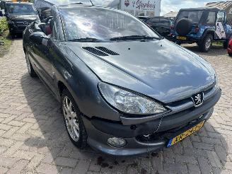 Peugeot 206 2.0-16V picture 5