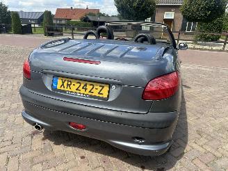 Peugeot 206 2.0-16V picture 9
