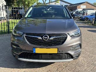 Opel Grandland X  1.2 Turbo Innovation picture 2