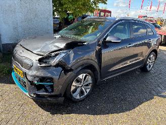  Kia e-Niro Clima/leer/pdc/navi 2020/1