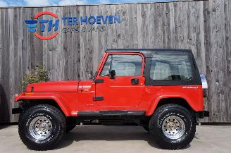 uszkodzony samochody osobowe Jeep Wrangler YJ 4.0L 4X4 2-Door Sport Utility Lier Trekhaak 136KW 1994/1