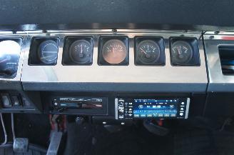 Jeep Wrangler YJ 4.0L 4X4 2-Door Sport Utility Lier Trekhaak 136KW picture 13