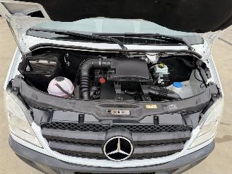 Mercedes Sprinter 313 CDi Maxi Flexi Trans Rollstuhl 95kW picture 44