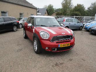 Auto incidentate Mini Cooper S Countryman Chilli S 2015/12