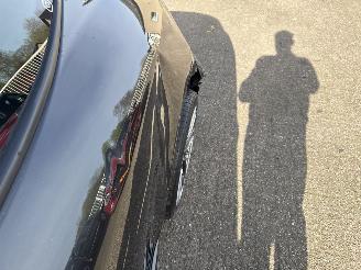 Renault Mégane Coupe 2.0 TCe GT picture 11