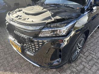 DFSK Navor E5 1.5 PHEV L2 7 PERSOONS AUTOMAAT REST BPM €300,-!!! picture 14