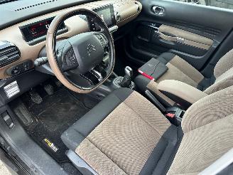 Citroën C4 cactus 1.2 PureTech Shine NAP picture 8