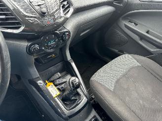 Ford EcoSport 1.0 EcoBoost picture 11