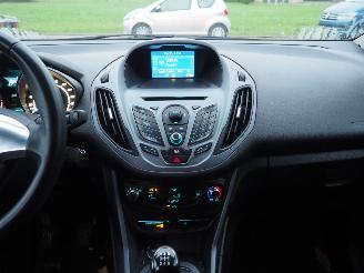 Ford B-Max 1.0 EcoBoost Style picture 19