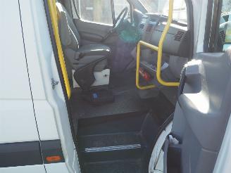 Volkswagen Crafter 2.5 tdi Rolstoelvervoer picture 20