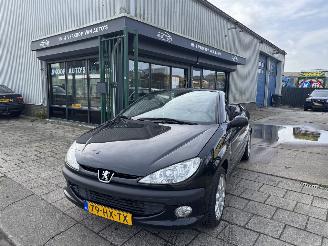 Peugeot 206 2.0 16V cabriolet picture 2
