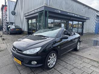 škoda osobní automobily Peugeot 206 2.0 16V cabriolet 2002/1