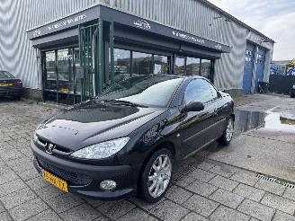 Peugeot 206 2.0 16V cabriolet picture 8