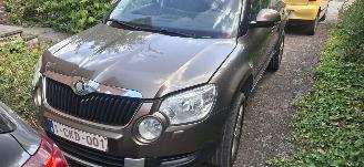 Avarii autoturisme Skoda Yeti 2.0 tdi 2009/1