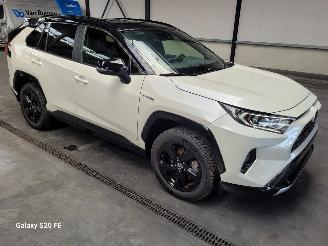Vaurioauto  passenger cars Toyota Rav-4 Hybrid 2.5 131-KW Automaat AWD 2019/8