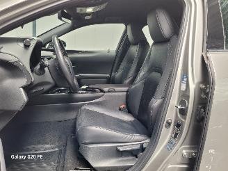 Lexus UX 250h Hybrid 2.0 112-KW Automaat Luxury picture 16