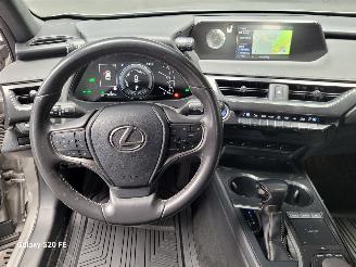Lexus UX 250h Hybrid 2.0 112-KW Automaat Luxury picture 18