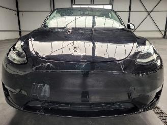 Tesla Model Y Dual Motor 378-KW Automaat AWD picture 8