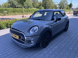 Mini Cooper Pepper Serious Business picture 2