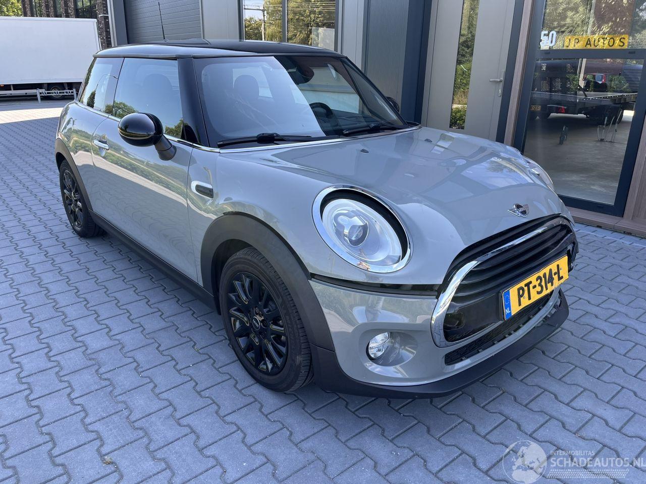 Mini Cooper Pepper Serious Business