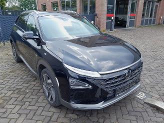 Auto incidentate Hyundai Nexo  2020/3