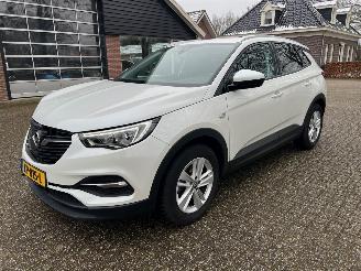 Damaged car Opel Grandland 1.2 Turbo Business + 2019/3