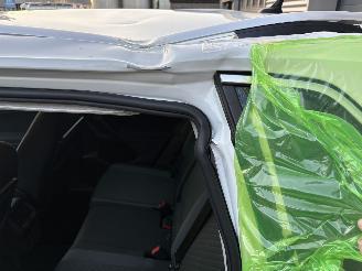 Volkswagen Tiguan 2.0 TSI 4 MOTION AUTOMAAT HIGHLINE picture 7