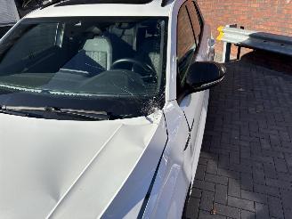 Volkswagen T-Roc 1.5 TSI R-line / PANODAK / AUTOMAAT / CAMERA / CRUISE / NAVI picture 6