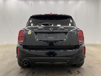 Mini Countryman 1.5 Cooper S E ALL4 Panoramadak Navi Clima picture 6