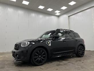 Mini Countryman 1.5 Cooper S E ALL4 Panoramadak Navi Clima picture 4