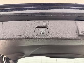 Ford C-Max 2.0 Plug-in Hybrid Titanium Panoramak Navi Clima picture 14