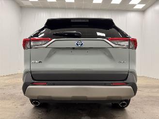 Toyota Rav-4 2.5 Hybrid Panoramadak Navi Clima picture 6