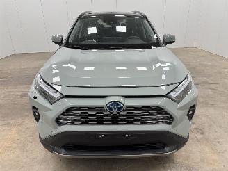 Toyota Rav-4 2.5 Hybrid Panoramadak Navi Clima picture 5