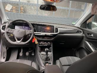 Opel Grandland X 1.2 Turbo (96kW) GS Line picture 15