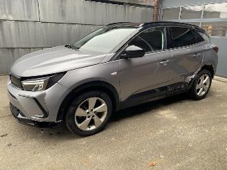 uszkodzony samochody osobowe Opel Grandland X 1.2 Turbo (96kW) GS Line 2023/6