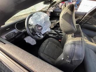 Ford Mustang GT Fastback 5.0 picture 13