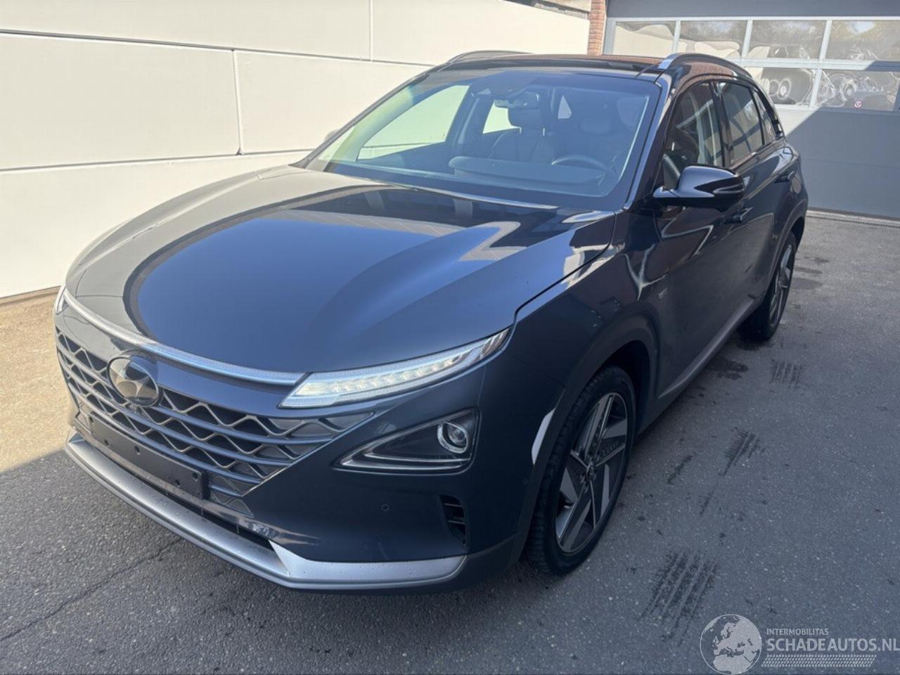 Hyundai Nexo Fuel Cell Noodloop