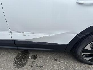 Opel Grandland (X) Edition Hybrid (107kW) picture 10