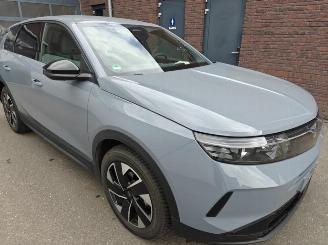 Opel Grandland (X) 1.2 48V Mild-Hybrid 100 kW GS Matrix picture 4