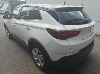 Opel Grandland X Business Edition Plug-in-Hybrid 225 PK lichte schade picture 2