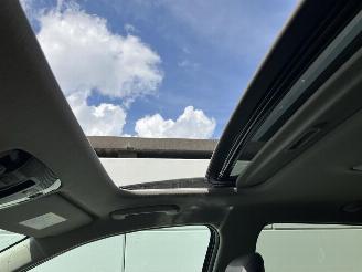 Kia e-Niro EV Light 64.8 kWh SOH 100% picture 42