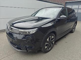 Opel Grandland (X) 1.2 48V Mild-Hybrid 107 kW GS picture 1