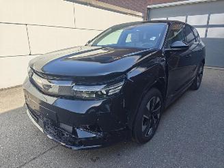 Opel Grandland (X) Electric 157 kW GS 72Kwh accu picture 1